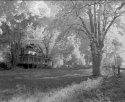 Old House On Ladner Trunk