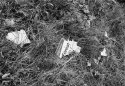 Broken Signs