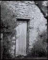 Shed Door