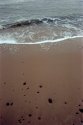 Shoreline