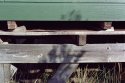Beach hut detail - 2