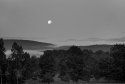 Morning Moon