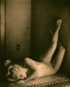 Liz-lith 523