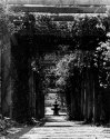 Airlie Gardens