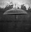 Parasol