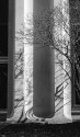 November Shadows 2