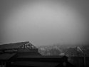 Early Mist