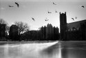 Ice And Fog