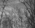 High Birches