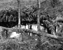 By the Beck, Esp Rigg, North Yorkshire, UK