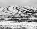 The Mound