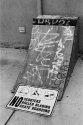Skate Ramp