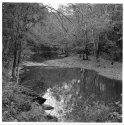 Tenmile Creek