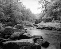 New Hampshire