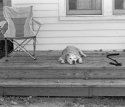 After the Walk