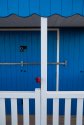 Blue, white, and red.