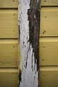 Painted wood textures