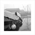 One misty morning - 2