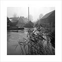 One misty morning - 3