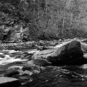 Loyalsock #2