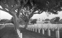 Ft Rosecrans FP4