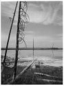 Sulphur Cemetery II