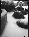 Snowhedge