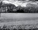 Rollei T with 510-Pro Test 03