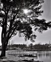 Backlit