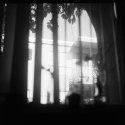 Window View
