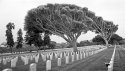 Ft Rosecrans, another one.