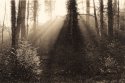 Sunrise, Aarau, 2022