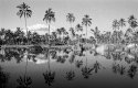 Reflections
