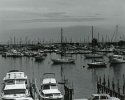 Burnham Harbor-2