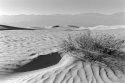 Death Valley Dunes