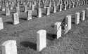 Military Graves