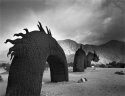 Winter storm, Borrego Springs