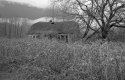 Abandoned Corn Field Farm House