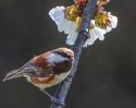 Springtime