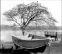 Boat. 250mm Meniscus Lens