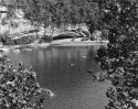Sonatas IX-16 (Presto Appassionato) - The Forest's Gifts: Walk With Me