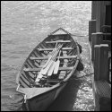 rowing boat - contre jour