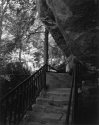 Sonatas IX-18 (Presto Appassionato) - The Forest's Gifts: Walk With Me