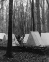 Civil War Encampment-3