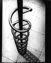 Spirochete