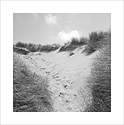 dunes