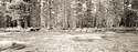 XP-202010XX-F01-positive.jpg