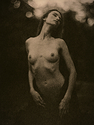 ElizabethLith829.jpg