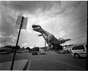 T Rex