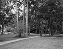 Rockwood Park-1
